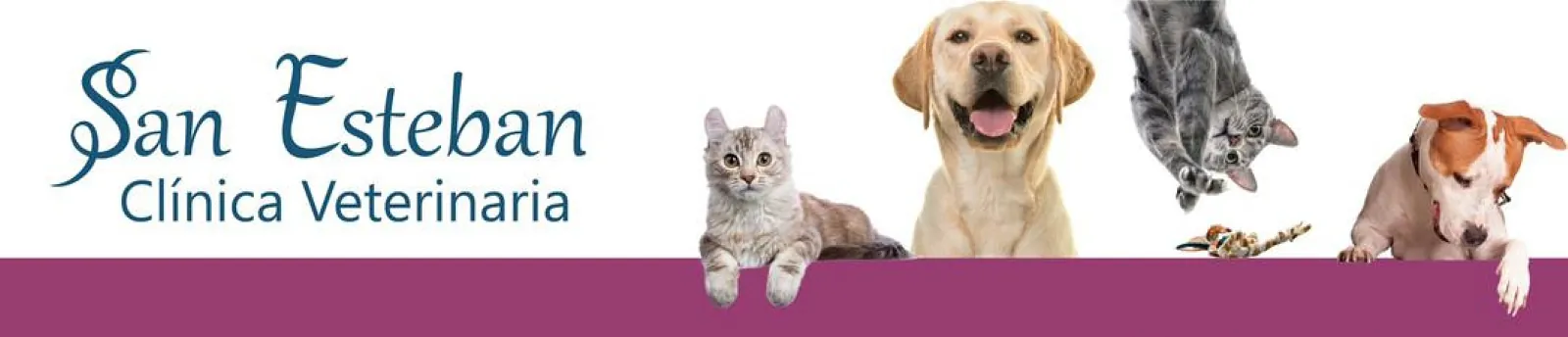 Banner de Clínica Veterinaria San Esteban con varios animales